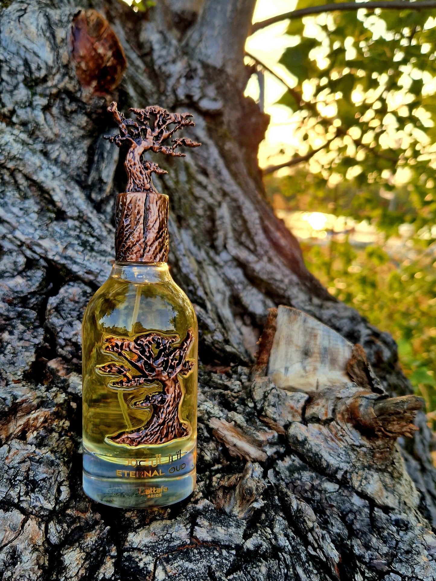 Eternal Oud