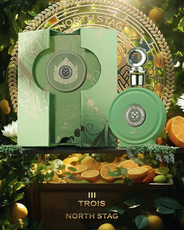 Trois North Stage Expressions III