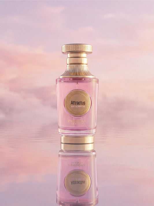 Pendora Attractus Eau de Parfum 100 ml
